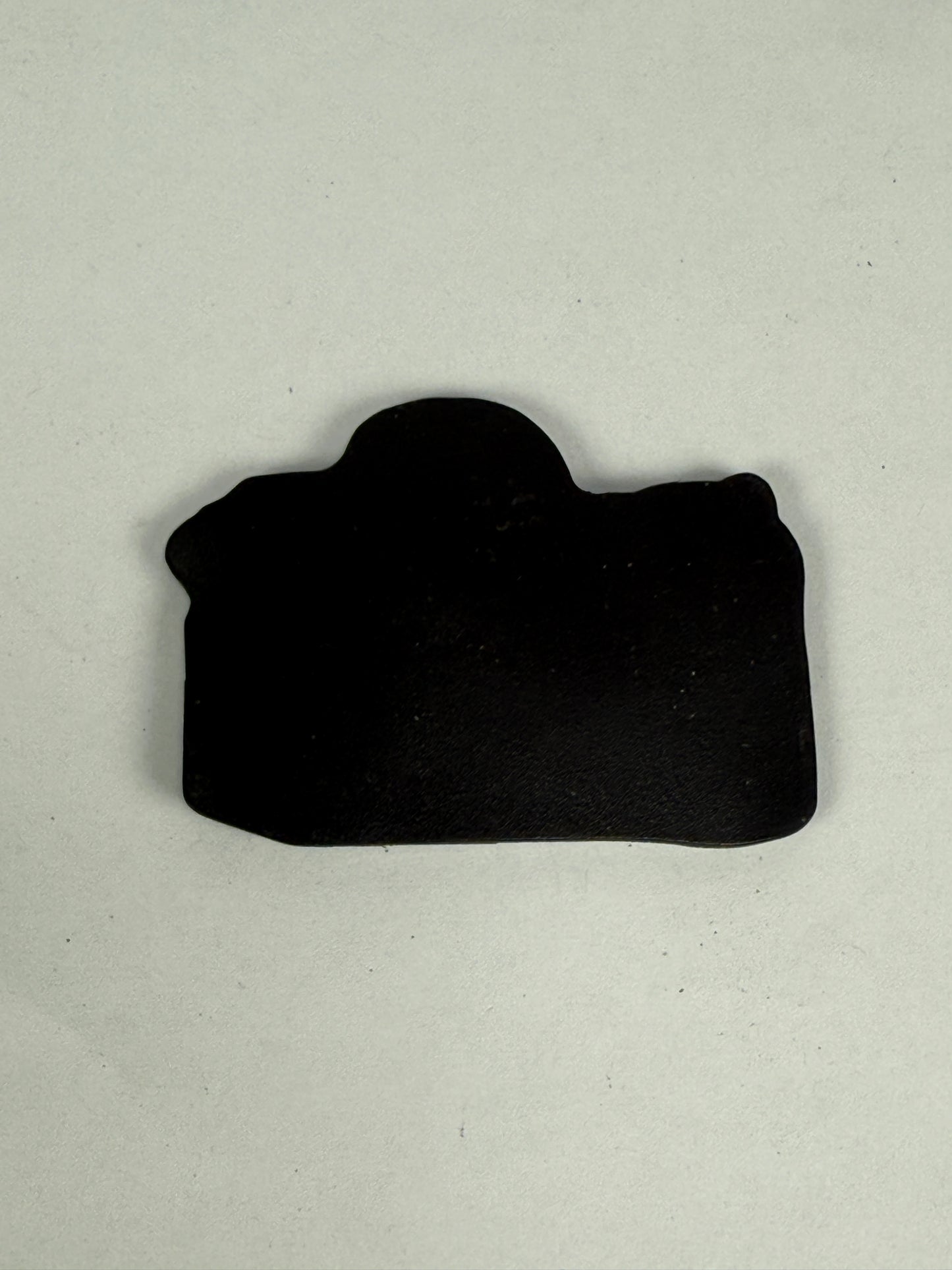 Nikon F100 Camera Magnet Promotional Item