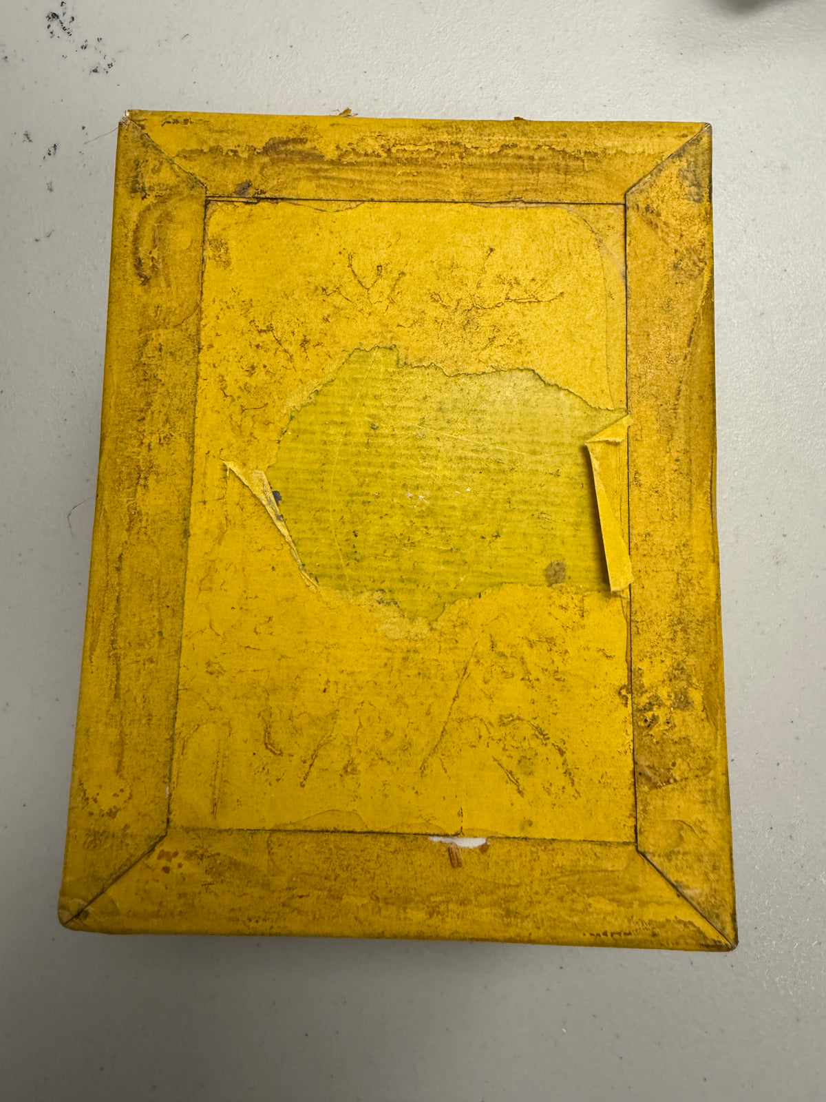 Kodak Projector Slide Plates 36 plates 3x4 3 1/4 X 4 inch glass plates