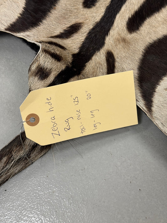 Zebra hide rug / skin - A large A grade South African Burchell Zebra hide taxidermy