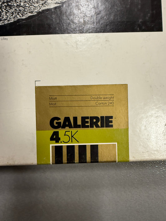 Ilford Ilfobrom Galerie 4.5K 11"x14" Photo Paper 50 sheets unopened NOS fibre