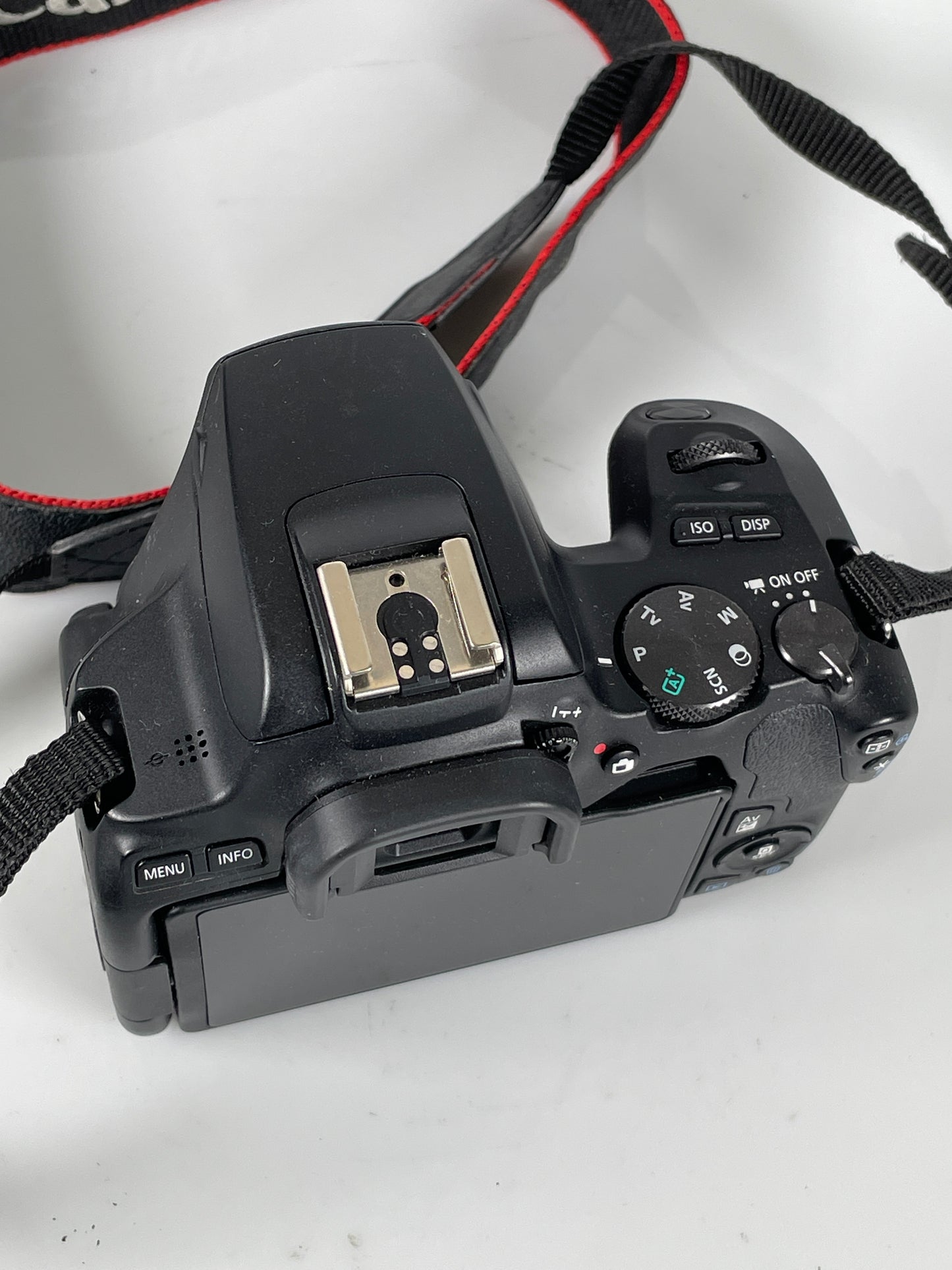 Canon EOS Rebel SL3 digital camera body
