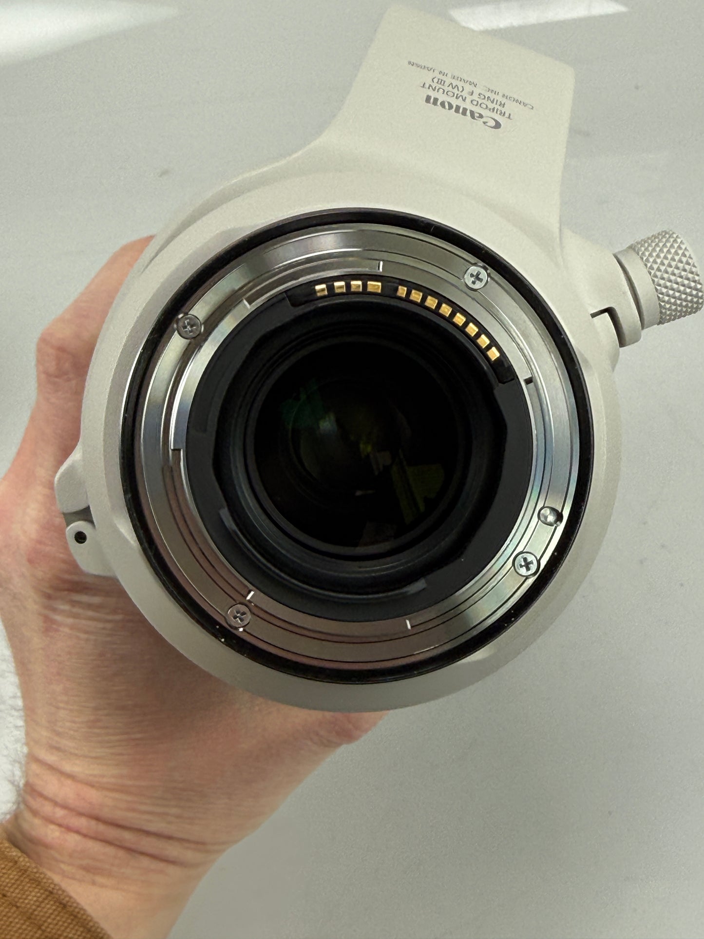 Canon RF 100-500mm f4.5-7.1 L IS USM Super Telephoto Zoom Lens