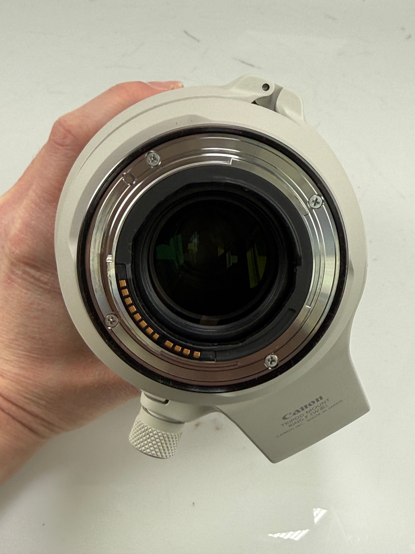 Canon RF 100-500mm f4.5-7.1 L IS USM Super Telephoto Zoom Lens