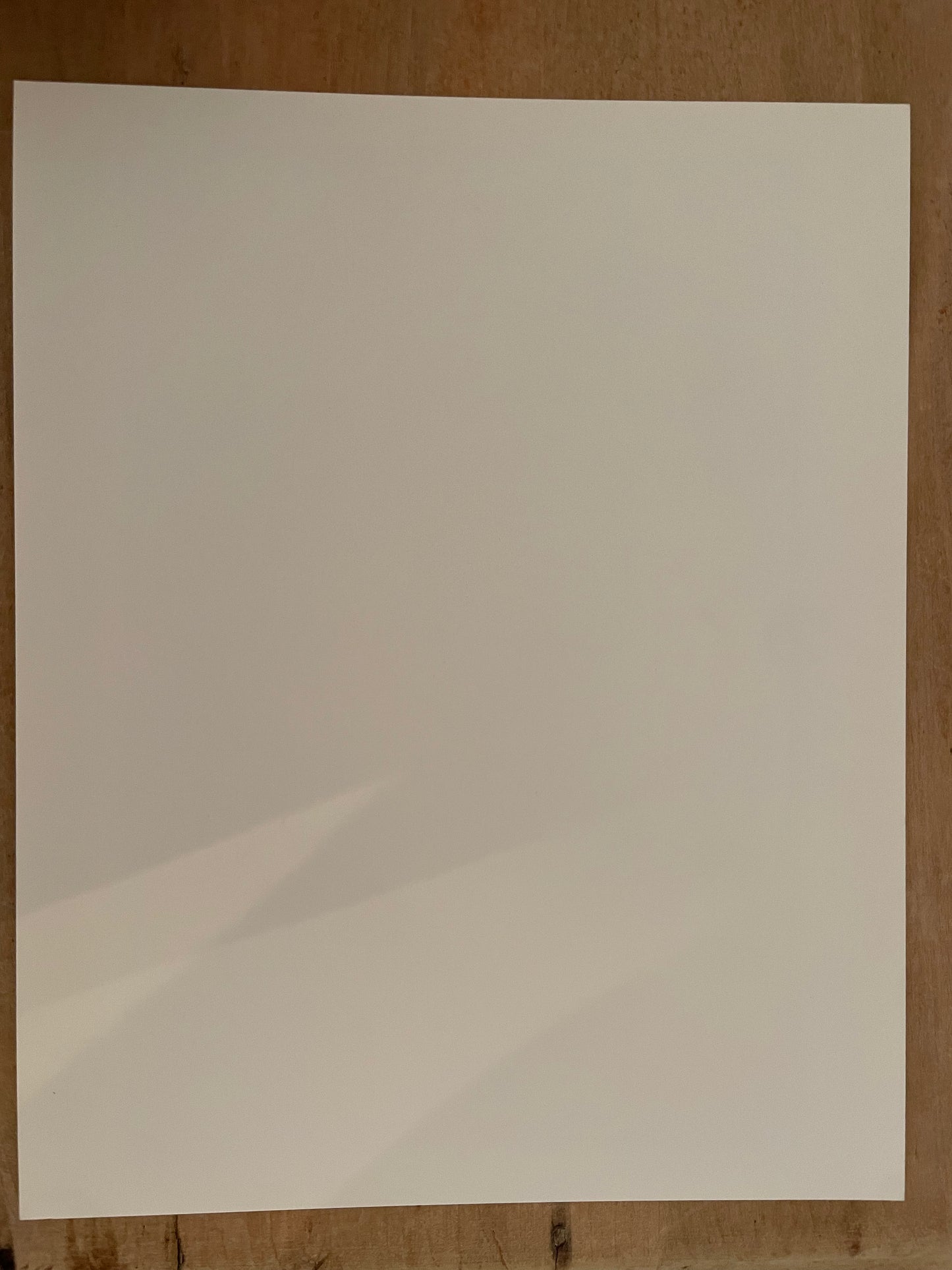 Susan S. Bank (American, 20th c.) Cuba Photograph Print Campo 8x10 Horse at Lake