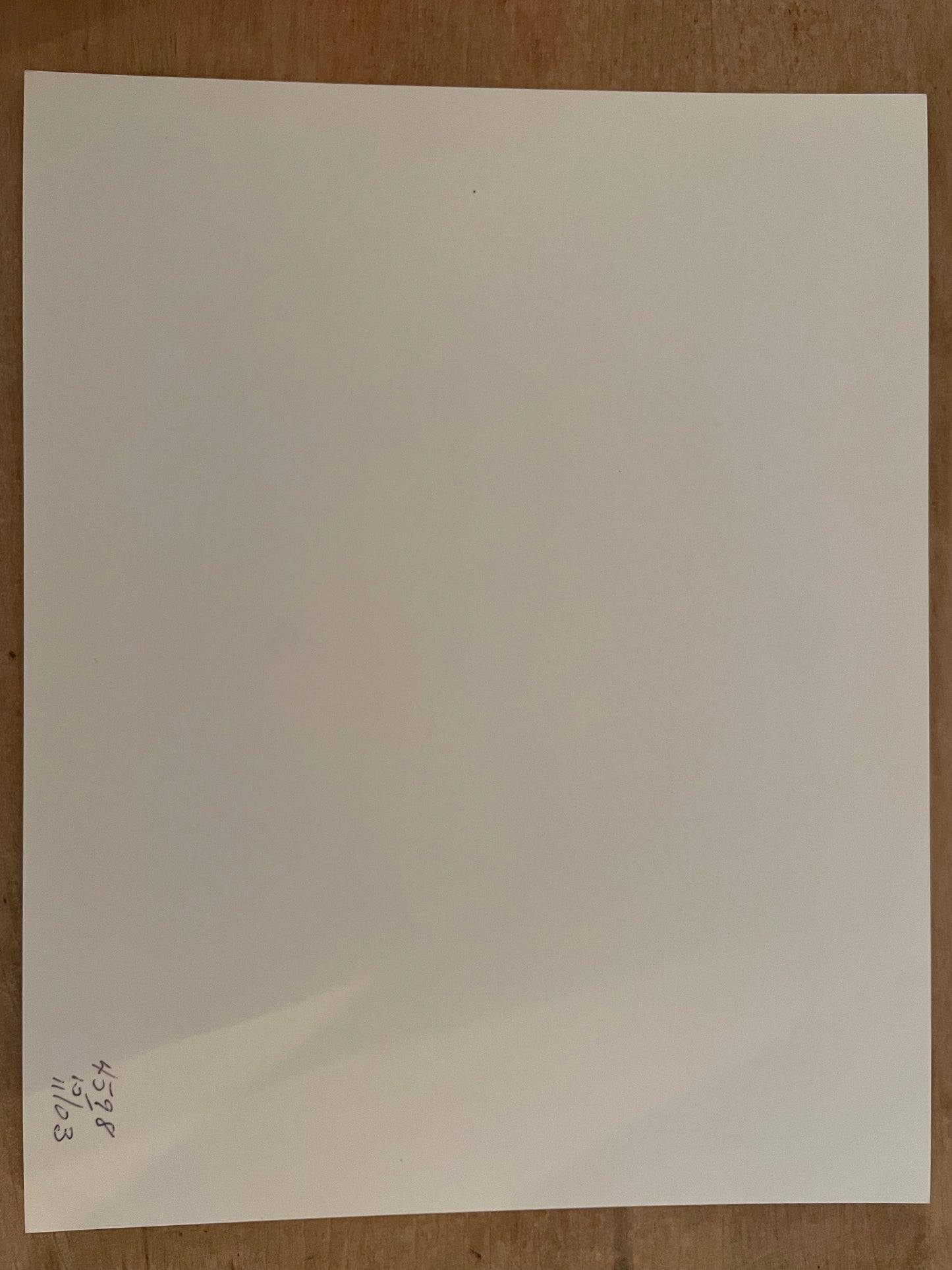 Susan S. Bank (American, 20th c.) Cuba Photograph Print Campo 8x10 cow jumping