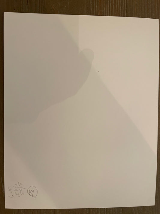 Susan S. Bank (American, 20th c.) Cuba Photograph Print Campo 8x10 Guillermo w/ chicken