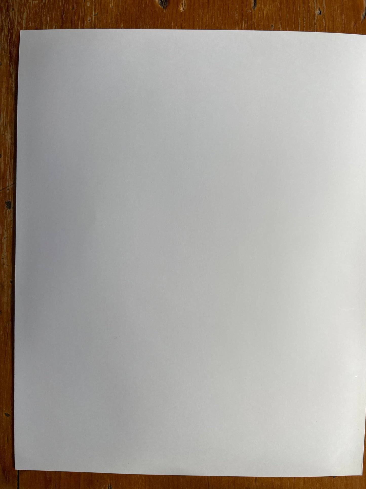 Susan S. Bank (American, 20th c.) Cuba Photograph Print Campo 8x10