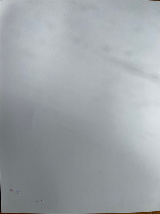 Susan S. Bank (American, 20th c.) Cuba Photograph Print Campo 8x10