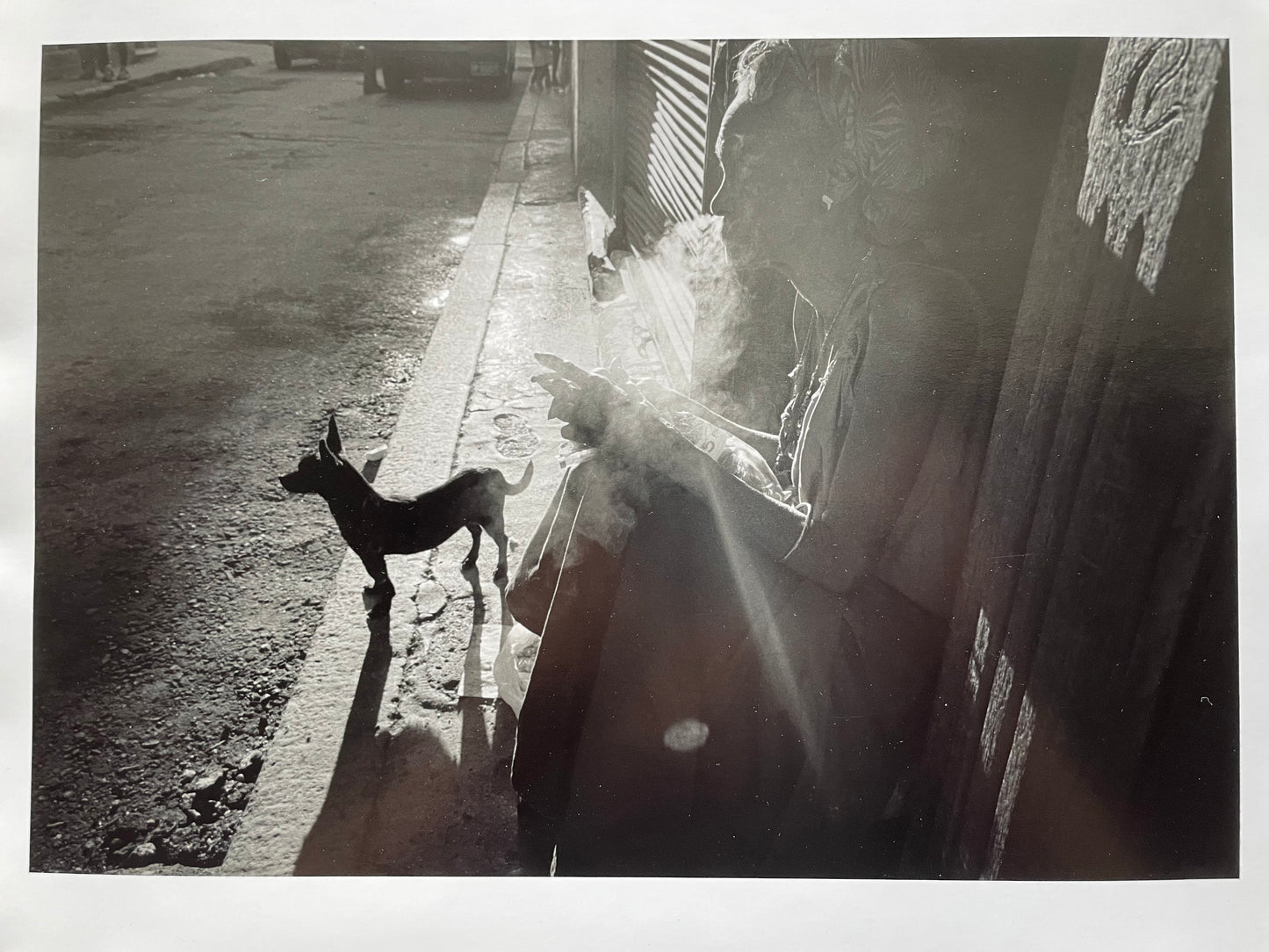 Susan S. Bank (American, 20th c.) Cuba Photograph Print Piercing through the darkness 11x14 dog