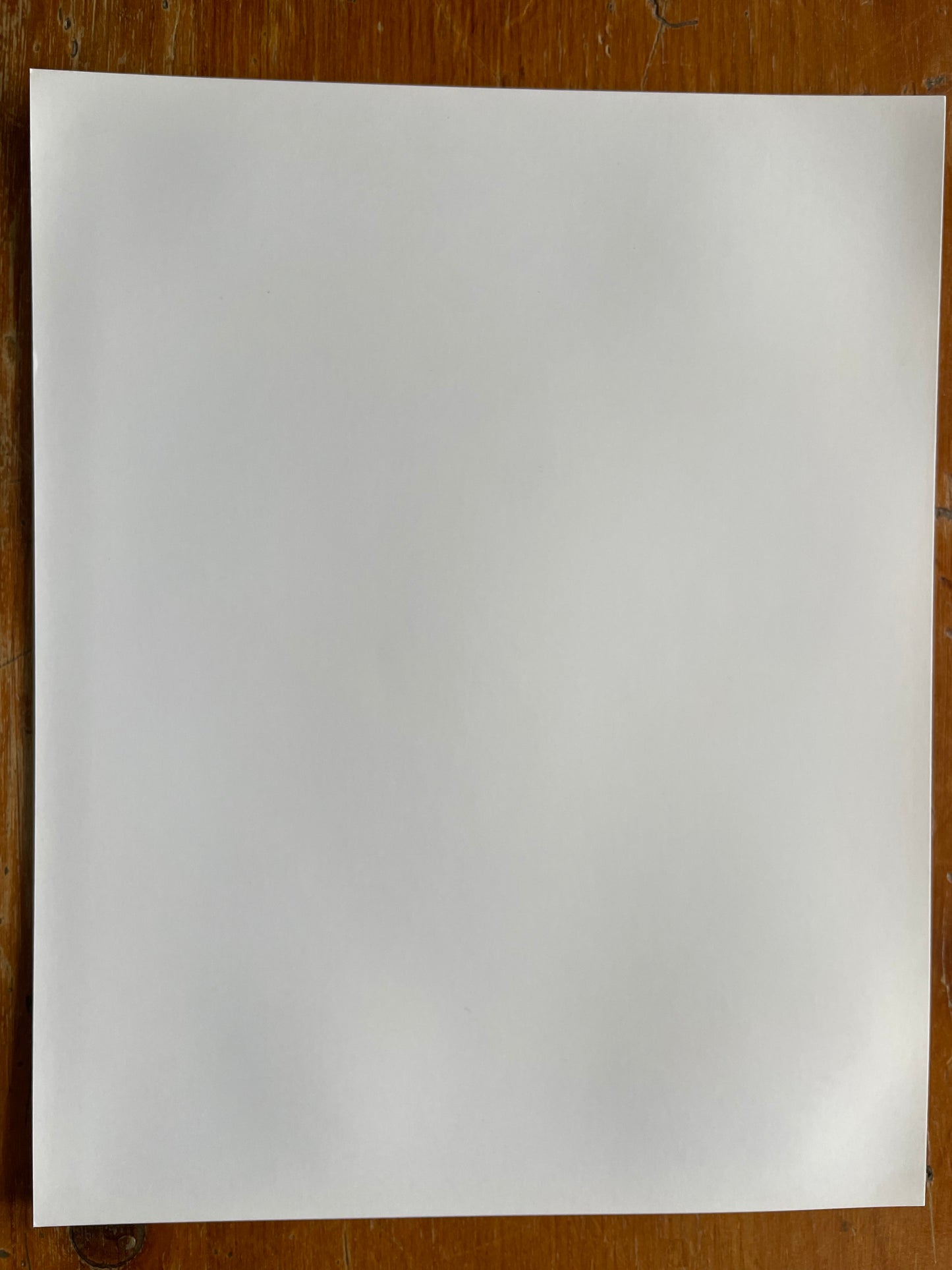 Susan S. Bank (American, 20th c.) Cuba Photograph Print Campo 8x10