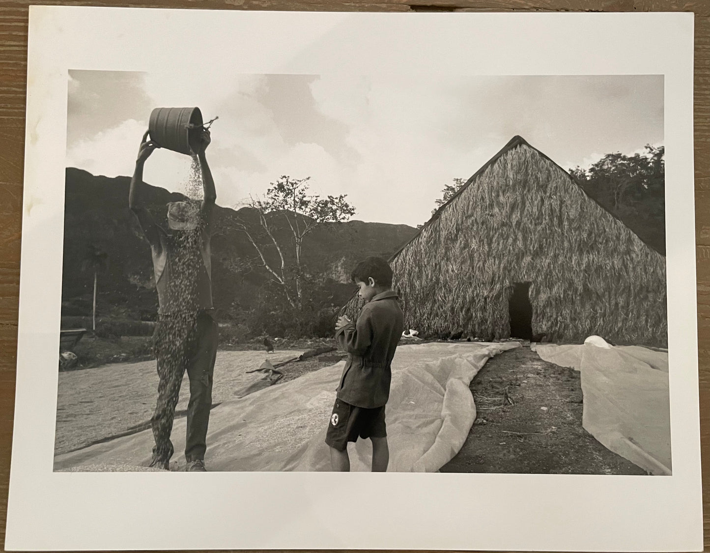Susan S. Bank (American, 20th c.) Cuba Photograph Print Campo 8x10 “Julio Sifting Rice with Osbel” Signed