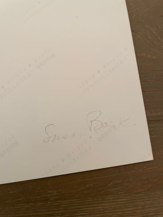 Susan S. Bank (American, 20th c.) Oaxaca Mexico Photograph Contact Print 8x10 Signed