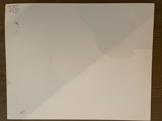 Susan S. Bank (American, 20th c.) Cuba Photograph Print Campo 8x10