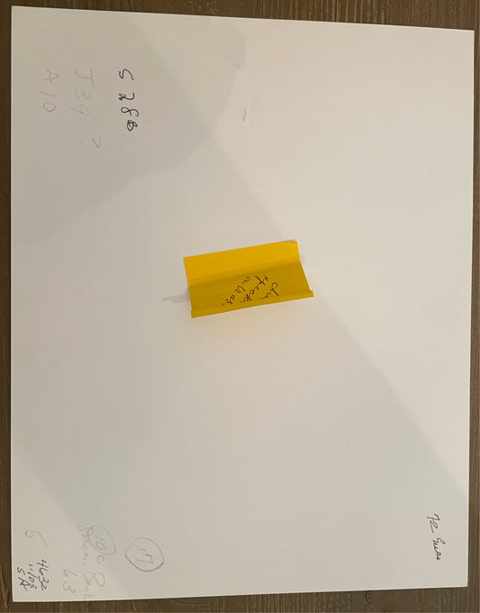 Susan S. Bank (American, 20th c.) Cuba Photograph Print Campo 8x10 horse tied Signed