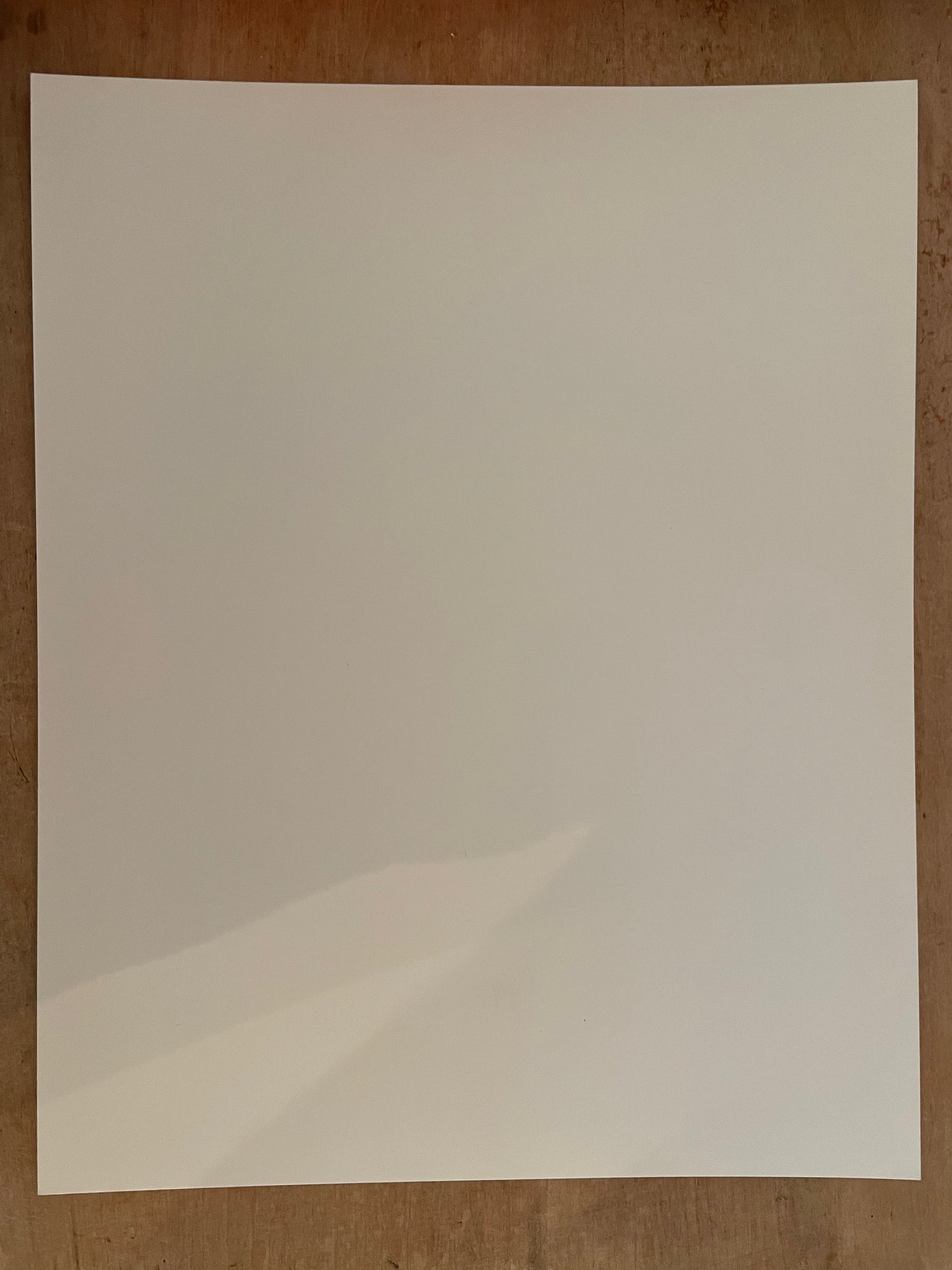 Susan S. Bank (American, 20th c.) Cuba Photograph Print Campo 8x10