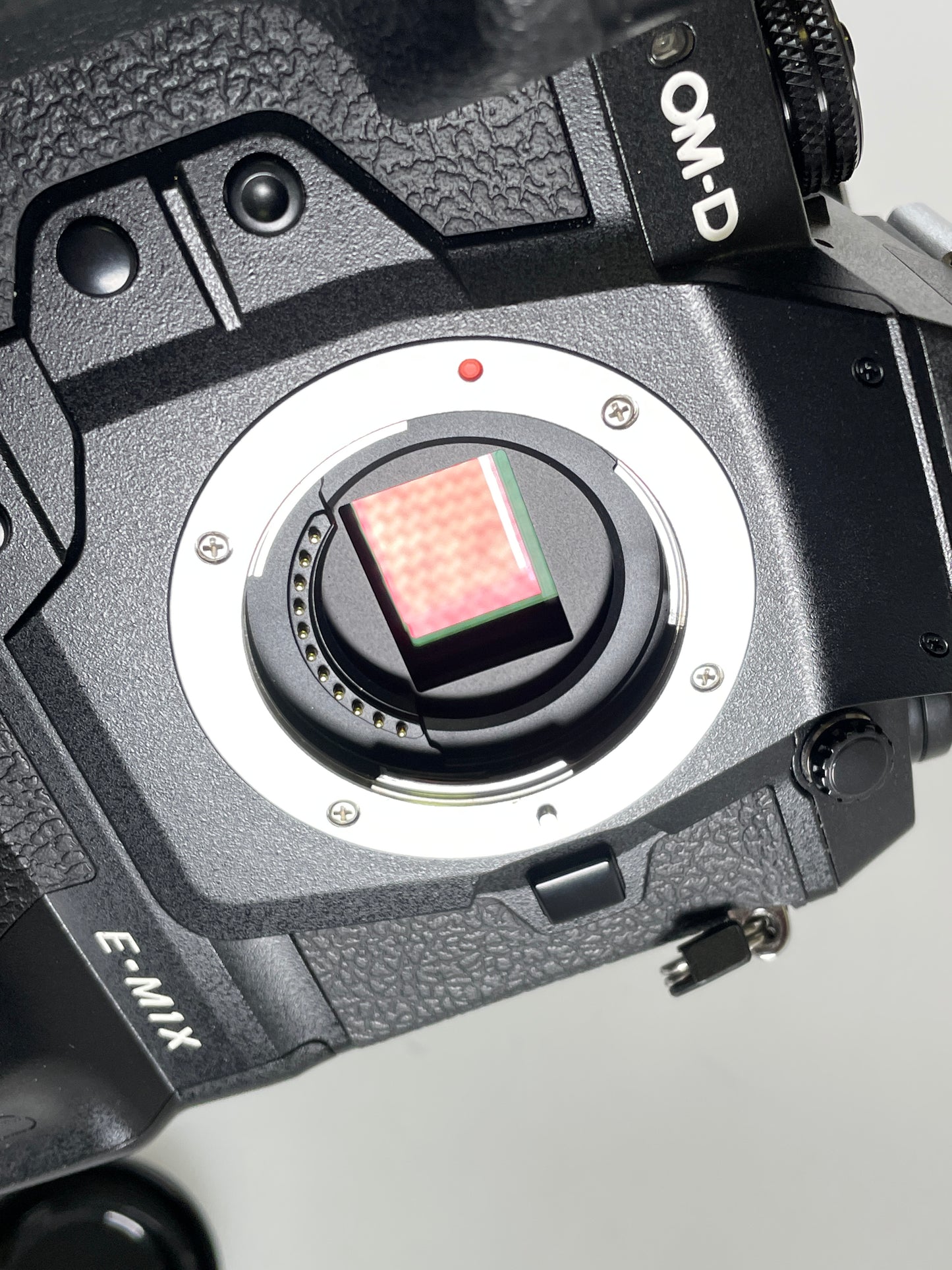Olympus OM-D E-M1X Mirrorless Digital Camera