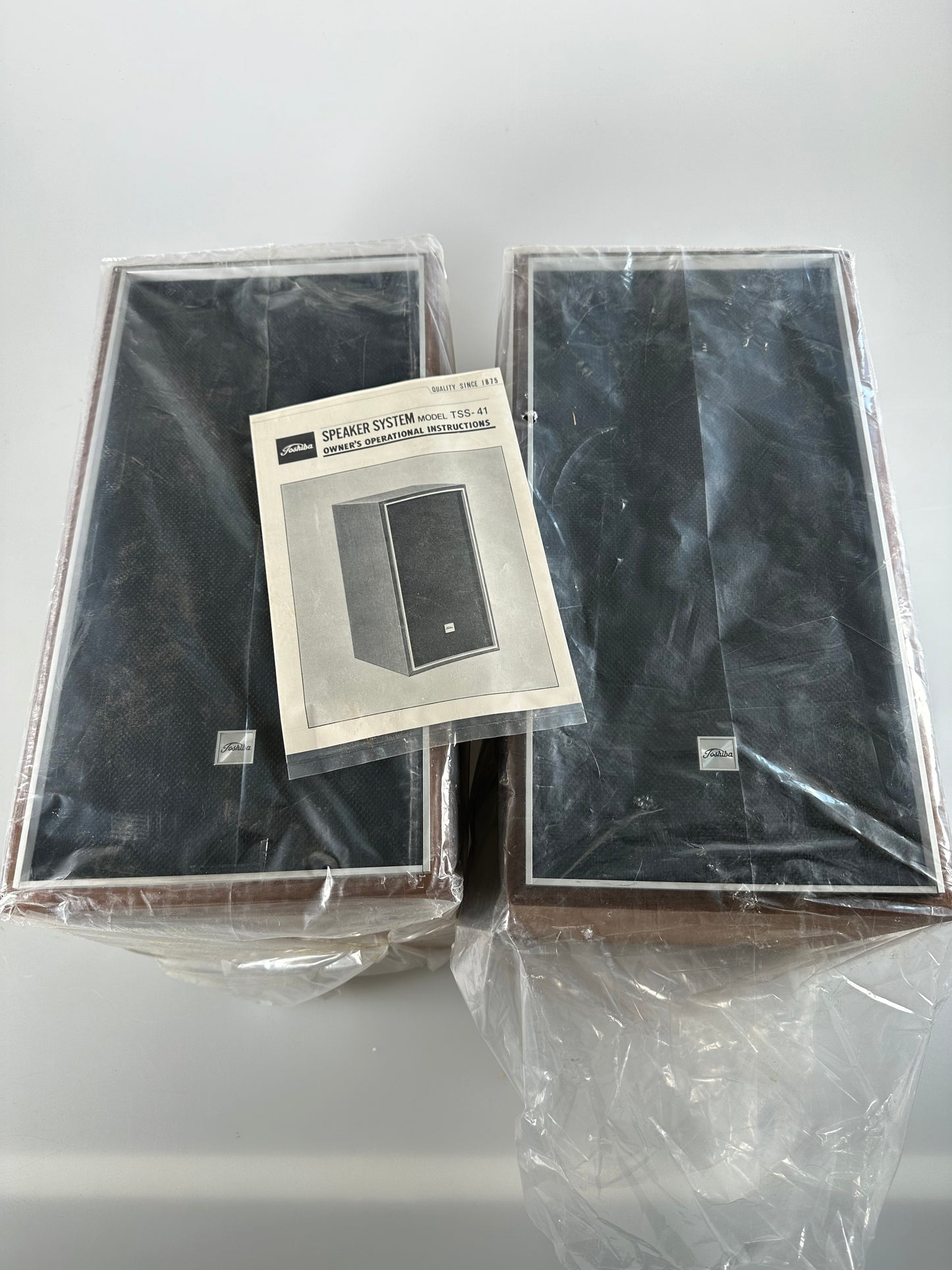 NOS Toshiba TSS-41 Speaker system 10W