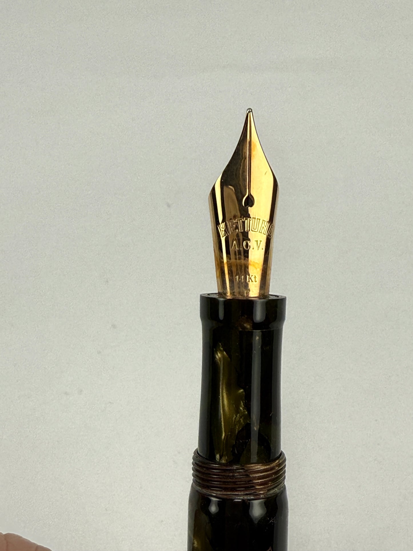 Nettuno Idra Fountain Pen LE 421/511 Medium 14k with Box
