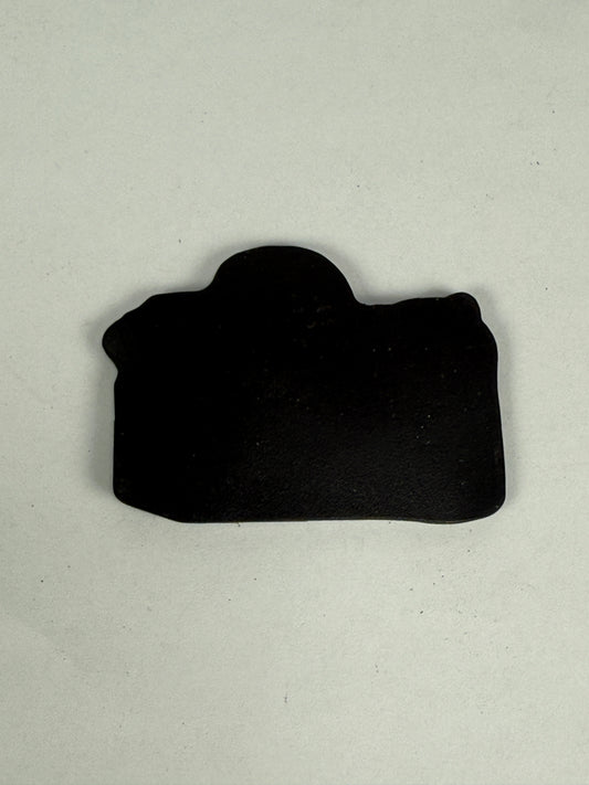 Nikon F100 Camera Magnet Promotional Item