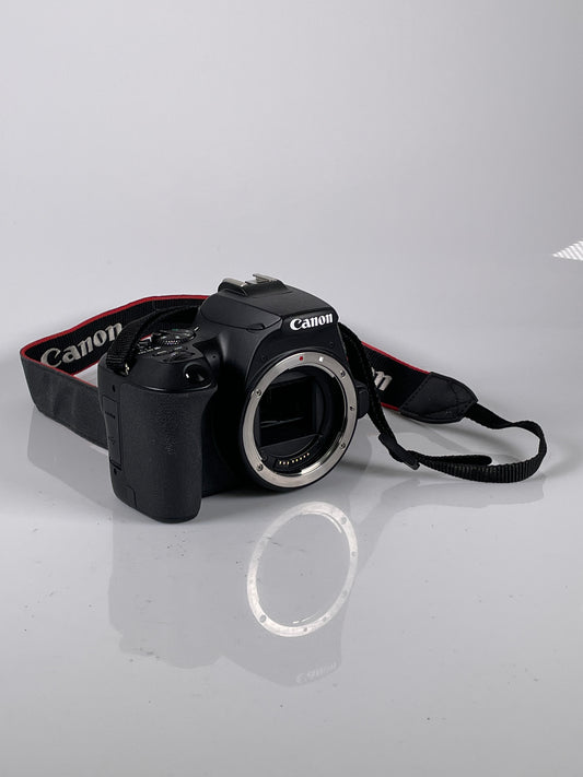 Canon EOS Rebel SL3 digital camera body