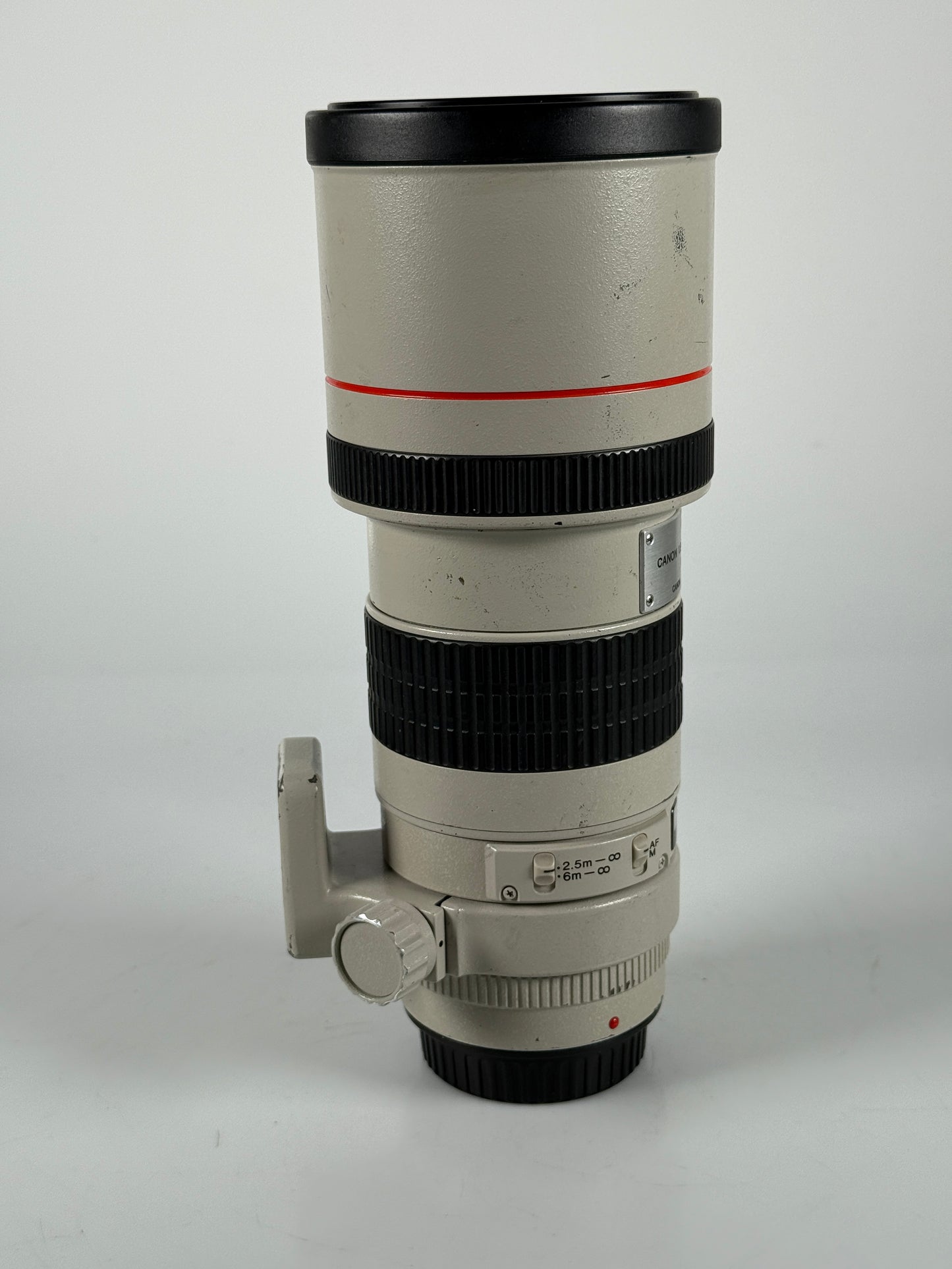 Canon EF 300mm f4 L USM Lens