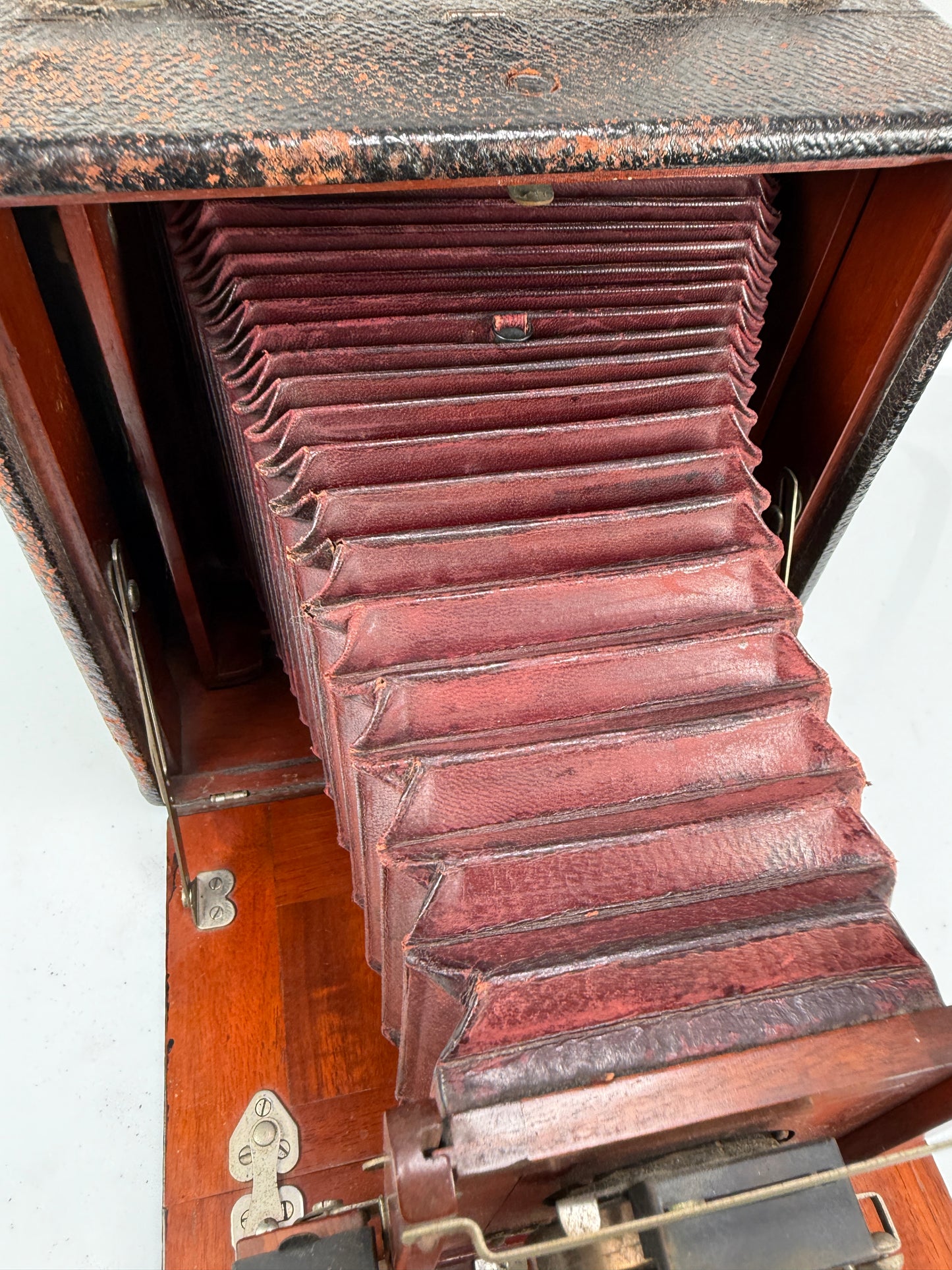 Gundlach Korona folding Box camera 4x5