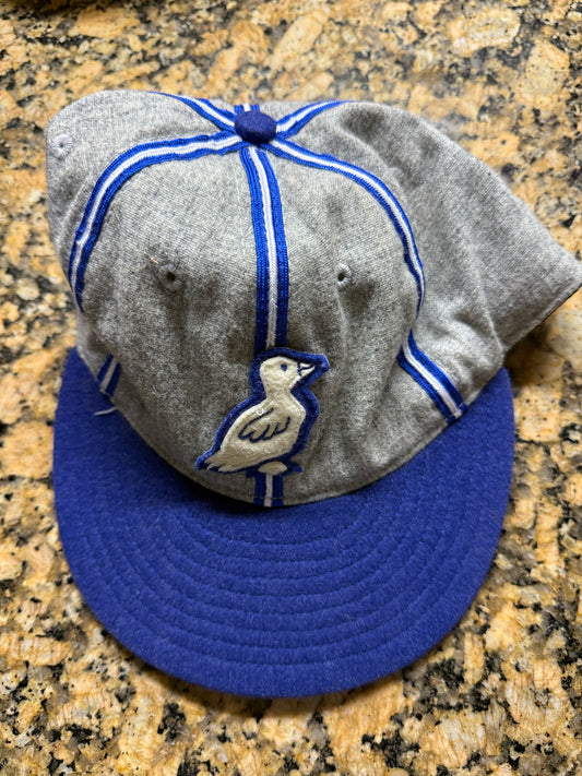 Ebbets Field Flannels Dayton Ducks Vintage Blue baseball hat size 7 1/2