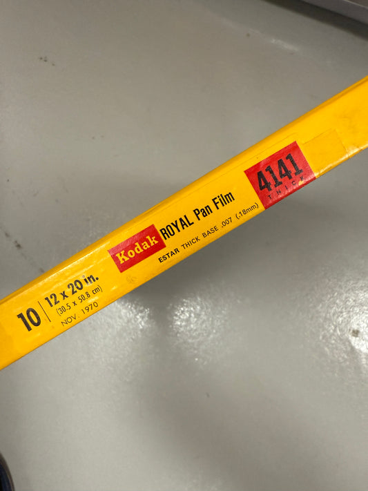 Expired 12x20 RARE KODAK Royal Pan Large Format Film 10 Sheets 4141