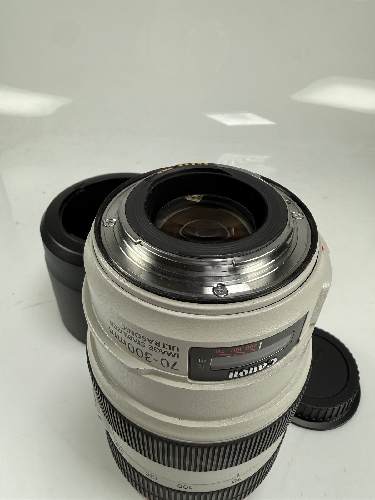 Canon EF 70-300mm f4-5.6 L IS USM Lens