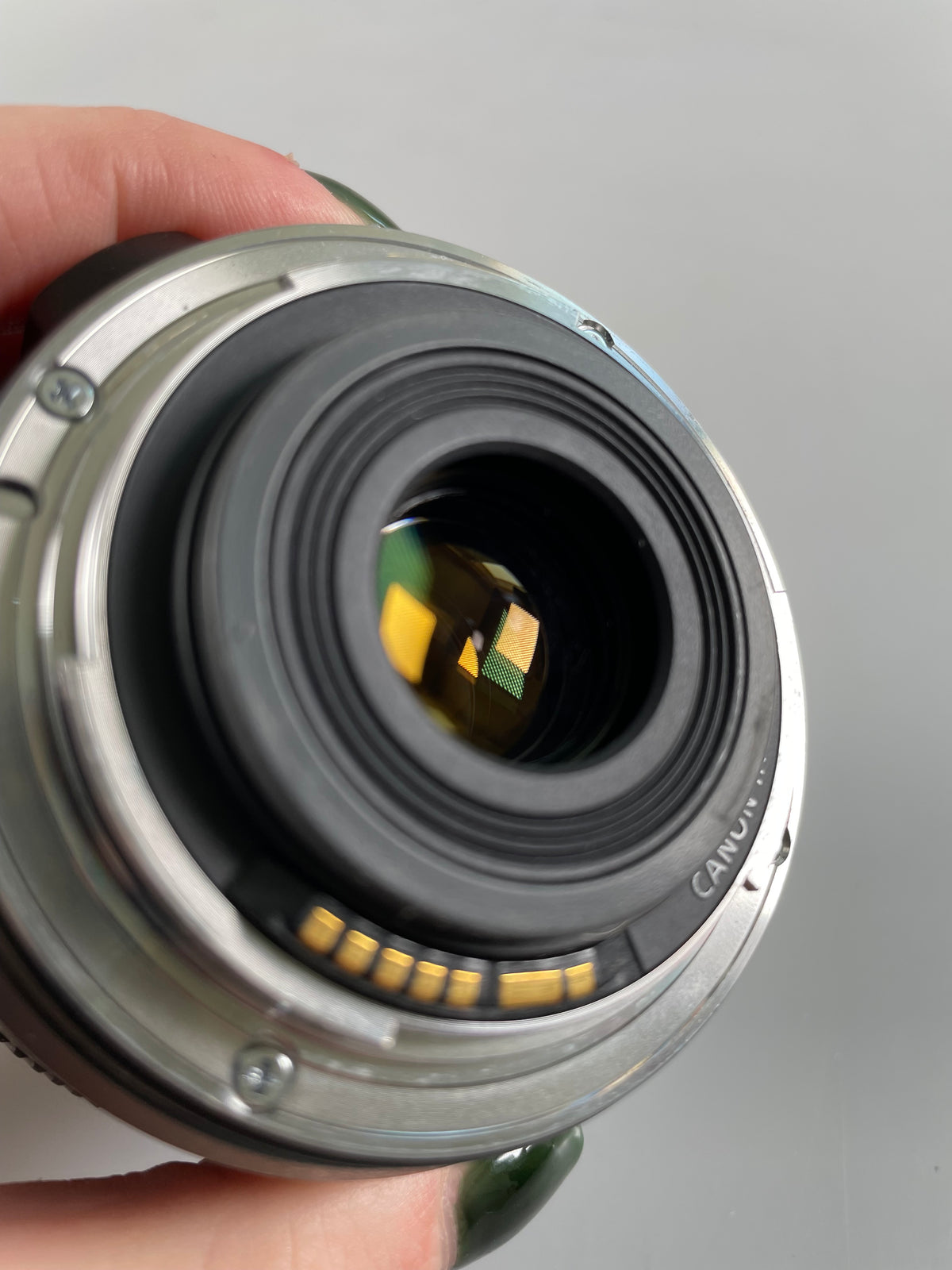 Canon EF-S 60mm F2.8 USM Macro Lens