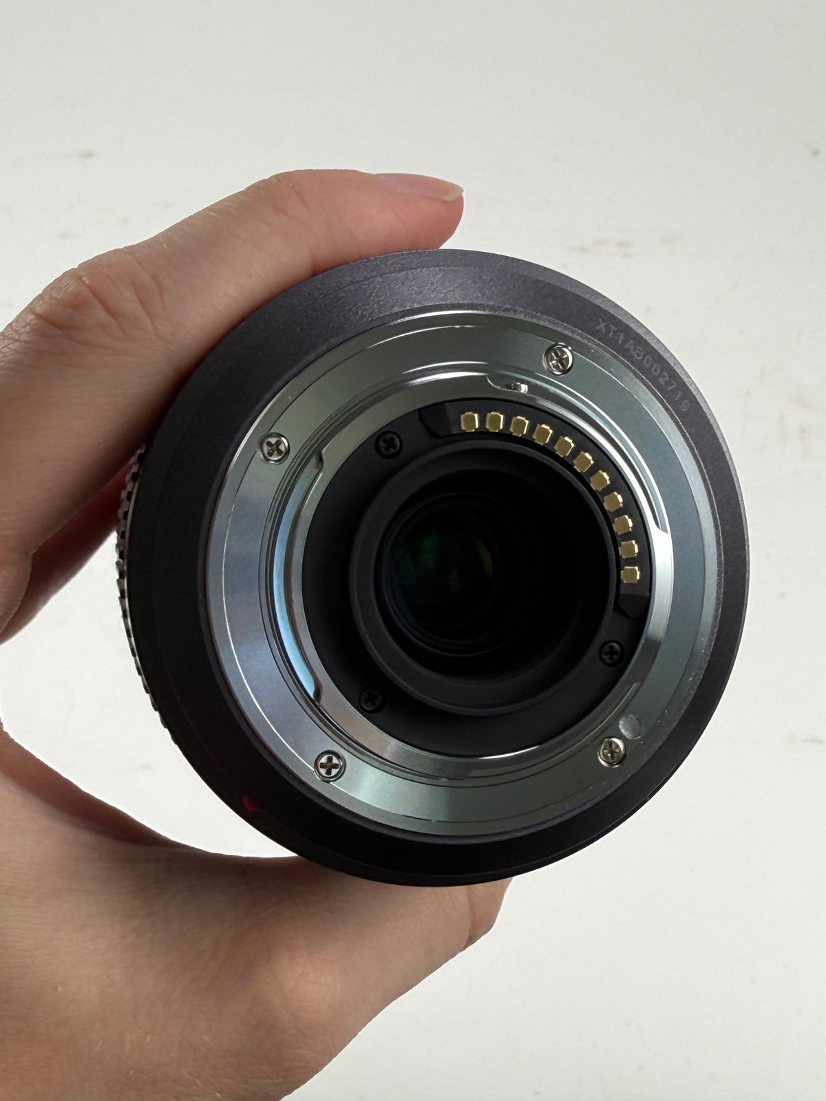 Panasonic 45-200mm f4.0-5.6 Lumix G Vario Mega O.I.S.