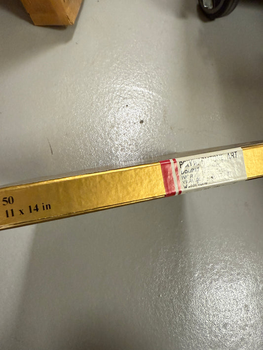 Forte elegance 11x14" polywarmtone art Photo Paper 50 sheets unopened NOS