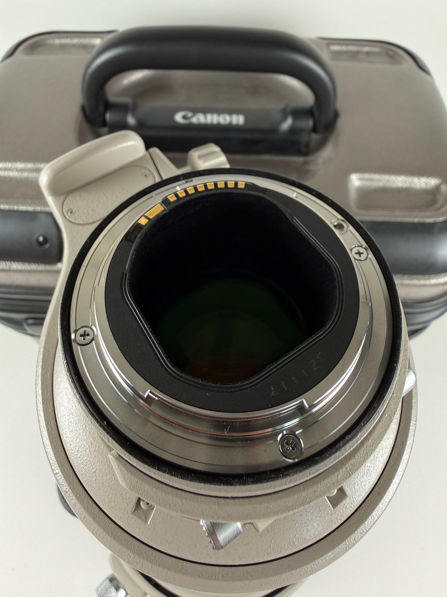 Canon EF 400mm f4 DO IS USM Prime Lens
