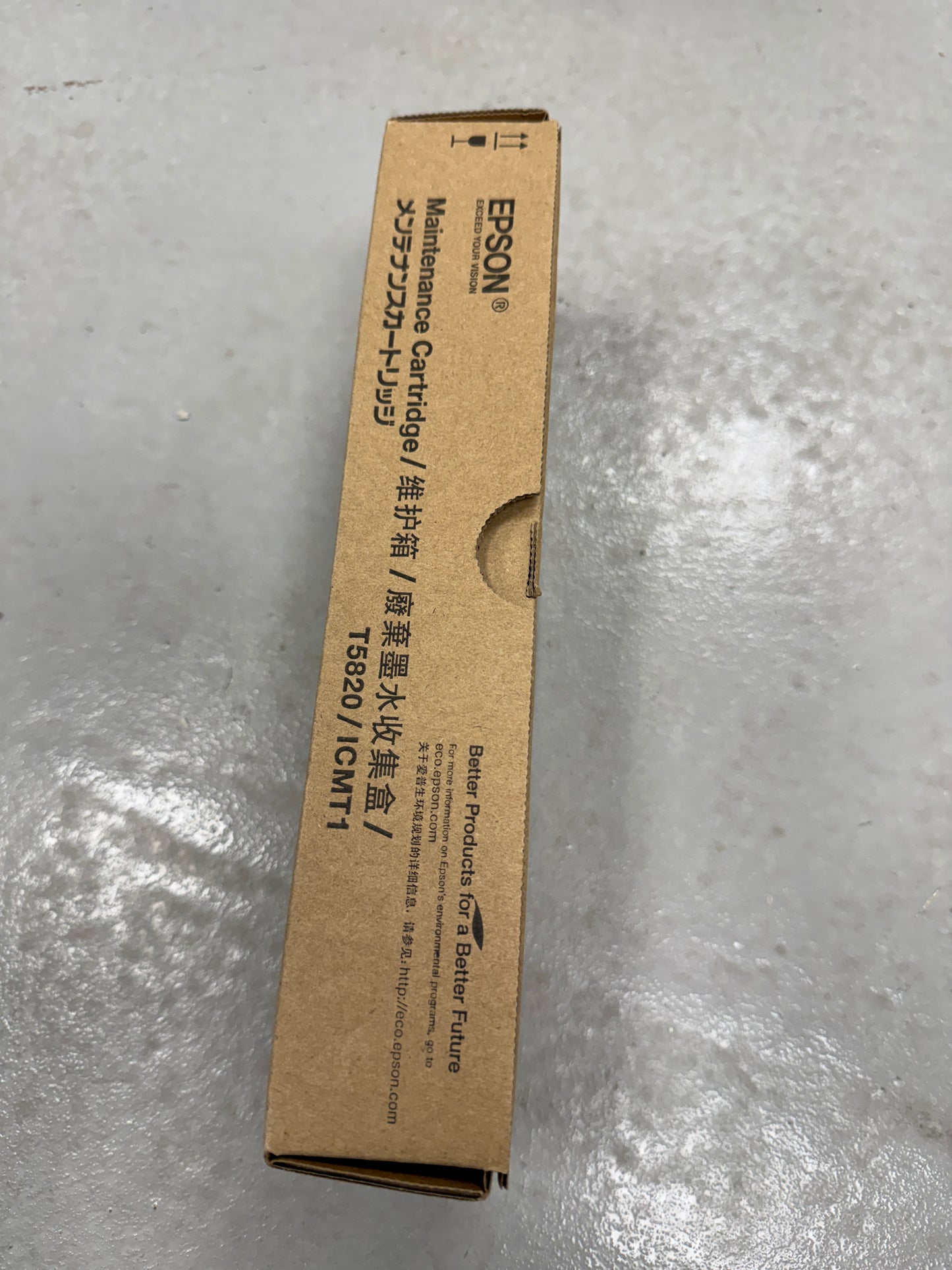 Genuine EPSON Maintenance Cartridge T5820 ICMT1