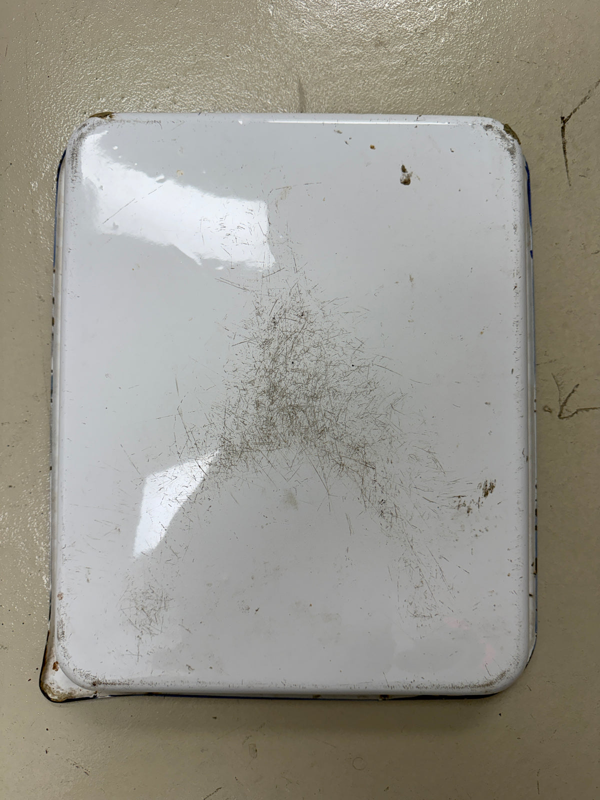 Vintage Porcelain White/Blue Enamel Photo Developing Tray - Film Darkroom 17x14