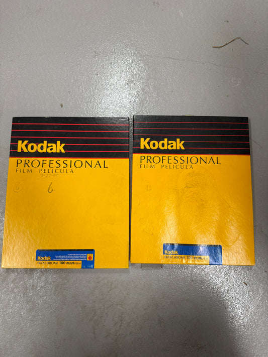 Kodak Ektachrome 100 plus 10 sheets 8x10 exp 1996