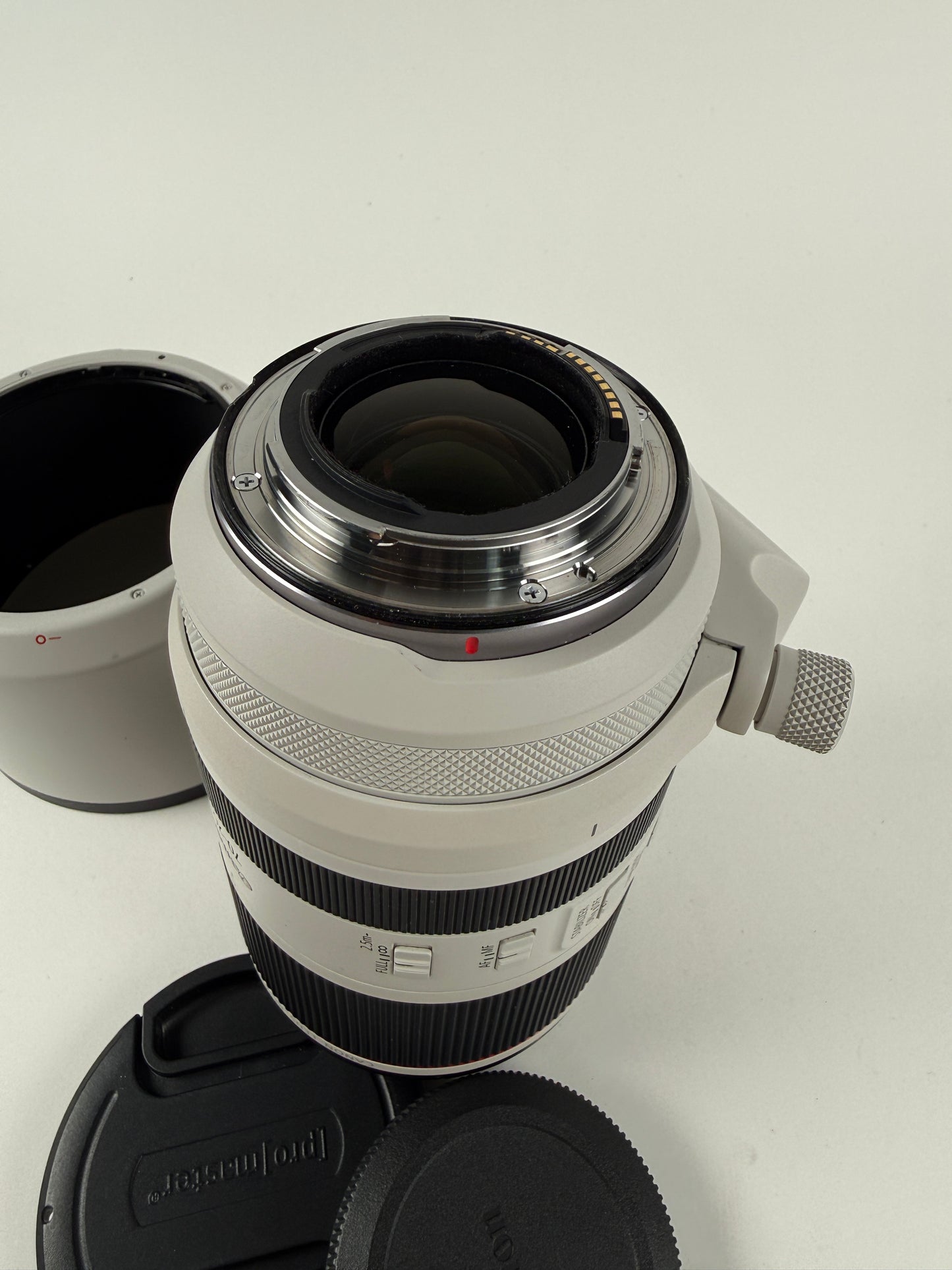 Canon RF 70-200mm f2.8 L IS USM Telephoto Zoom Lens