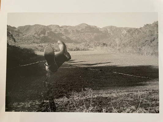 Susan S. Bank (American, 20th c.) Cuba Photograph Print Campo 8x10