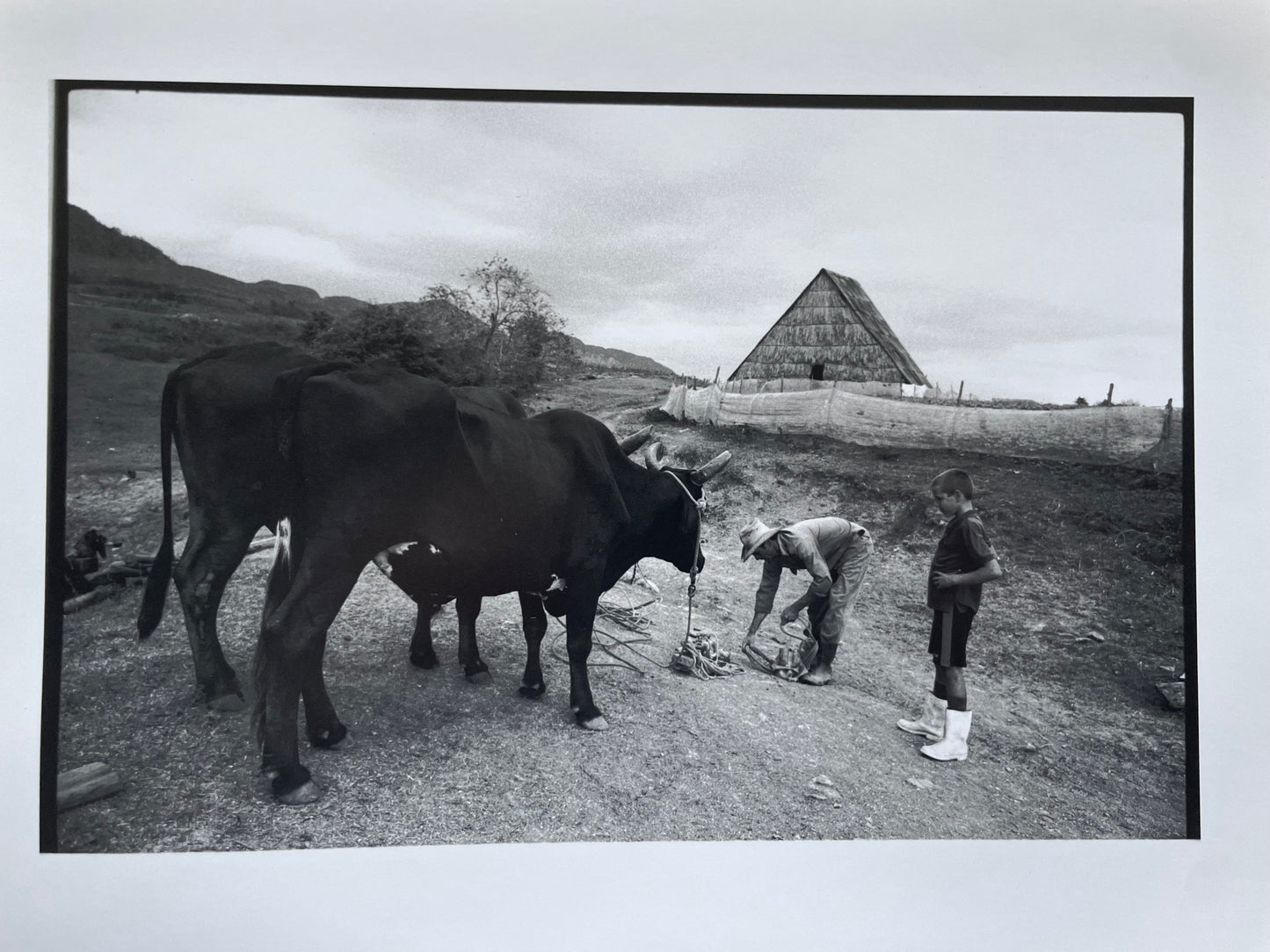 Susan S. Bank (American, 20th c.) Cuba Photograph Print Campo 8x10