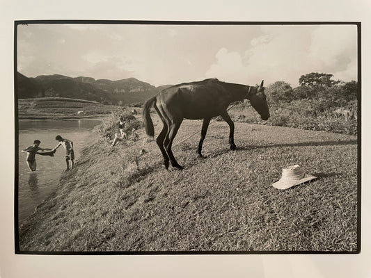 Susan S. Bank (American, 20th c.) Cuba Photograph Print Campo 8x10 Horse at Lake