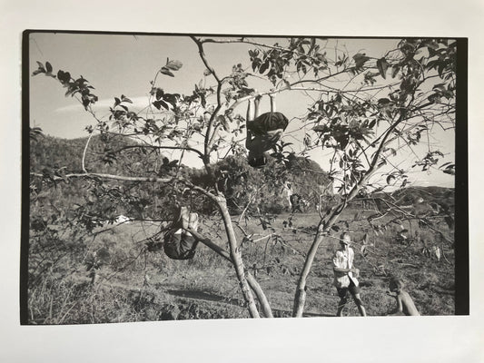 Susan S. Bank (American, 20th c.) Cuba Photograph Print Campo 8x10