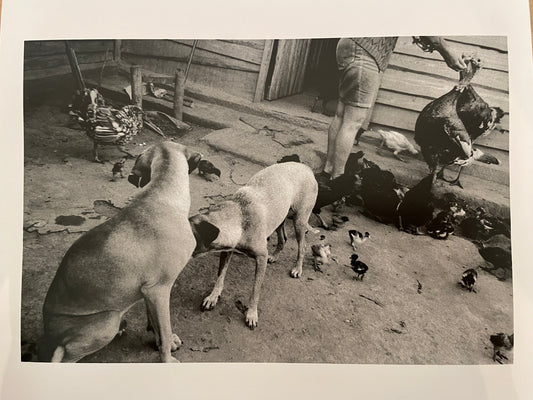 Susan S. Bank (American, 20th c.) Cuba Photograph Print Campo 8x10