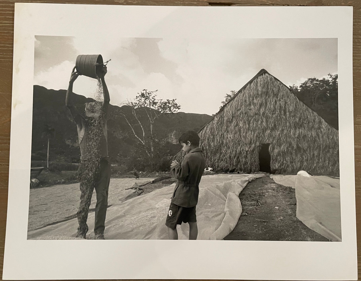 Susan S. Bank (American, 20th c.) Cuba Photograph Print Campo 8x10 “Julio Sifting Rice with Osbel” Signed