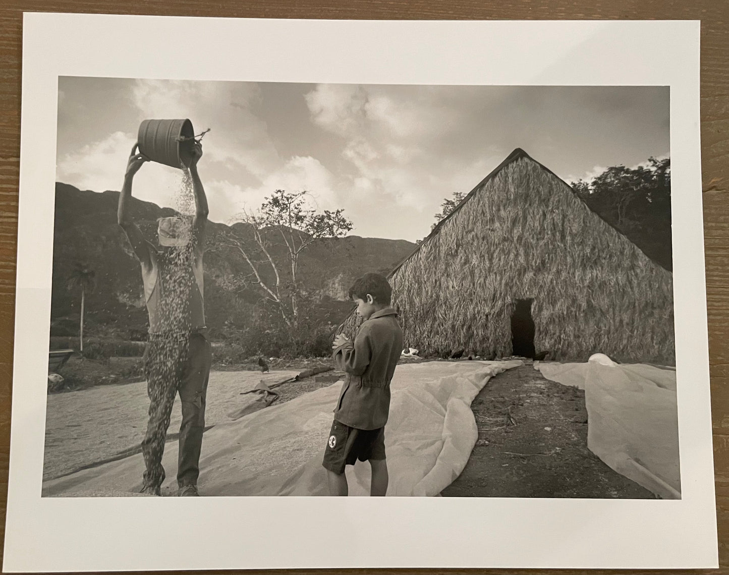 Susan S. Bank (American, 20th c.) Cuba Photograph Print Campo 8x10 “Julio Sifting Rice with Osbel”