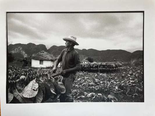 Susan S. Bank (American, 20th c.) Cuba Photograph Print Campo 8x10