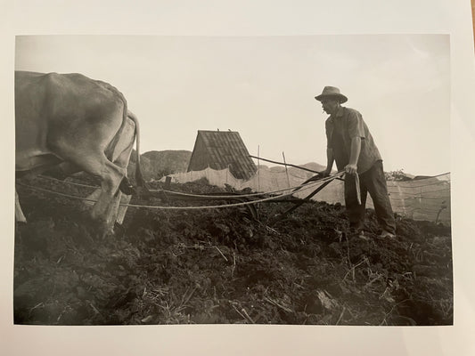 Susan S. Bank (American, 20th c.) Cuba Photograph Print Campo 8x10