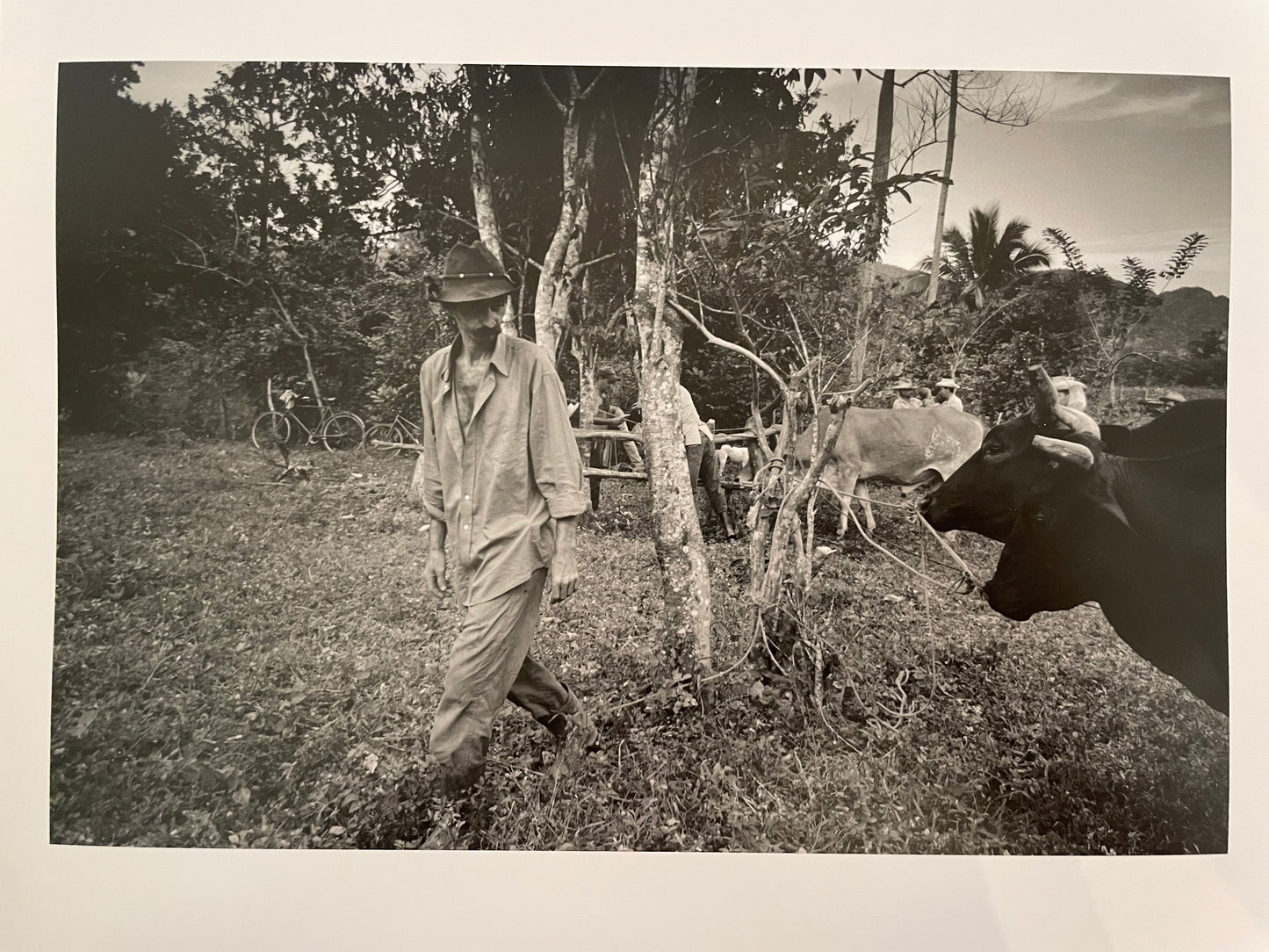 Susan S. Bank (American, 20th c.) Cuba Photograph Print Campo 8x10