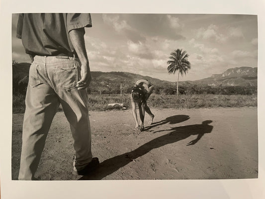 Susan S. Bank (American, 20th c.) Cuba Photograph Print Campo 8x10